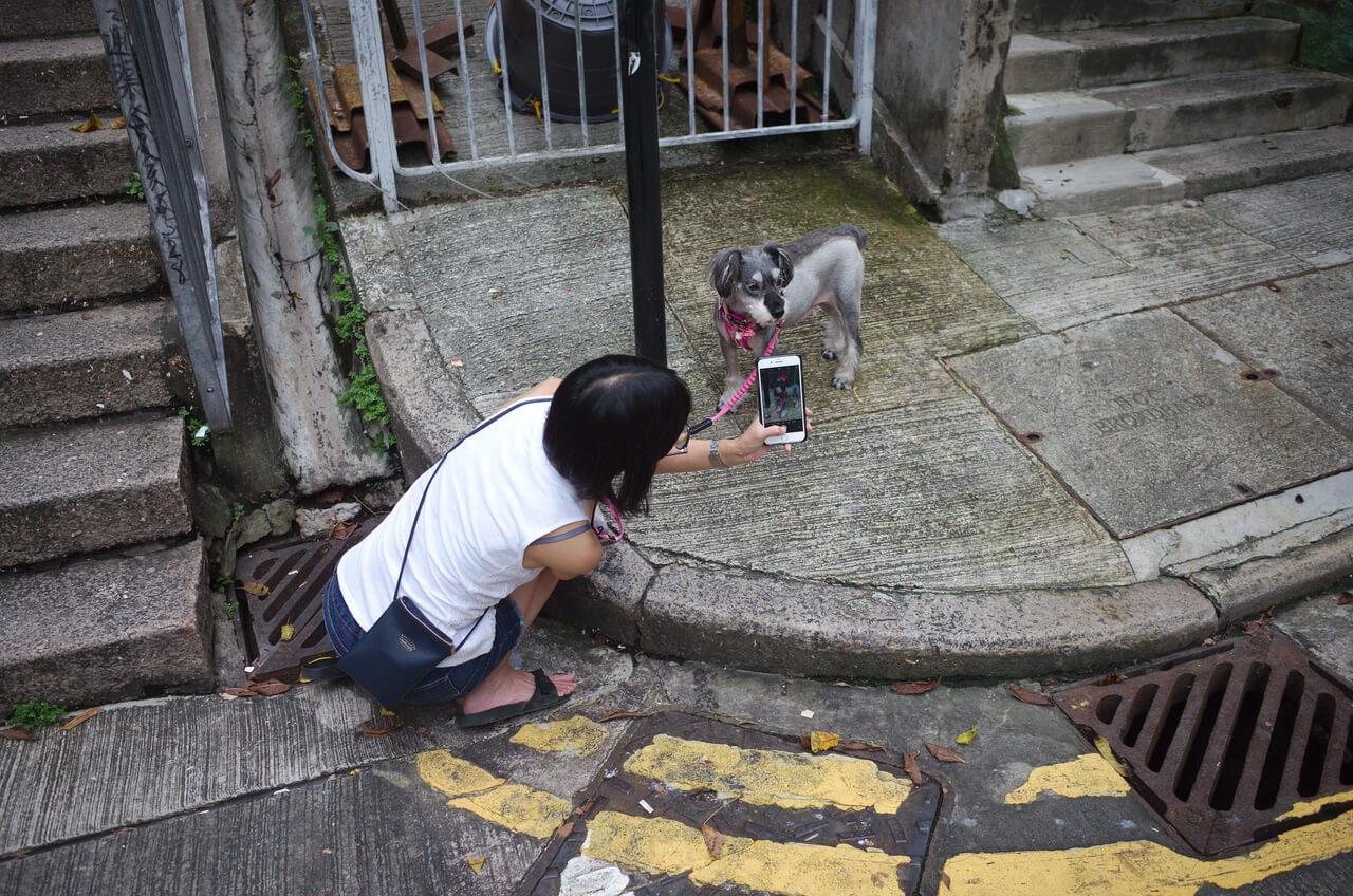 Une femme prend son chien en photo à Hong Kong